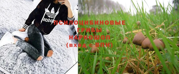 бошки Семикаракорск